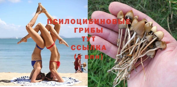 кокаин колумбия Алексин