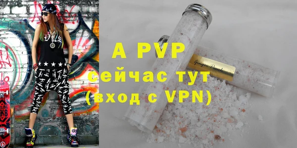 шишки Абаза