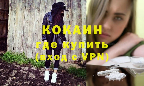 шишки Абаза