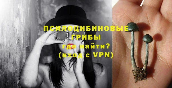 шишки Абаза