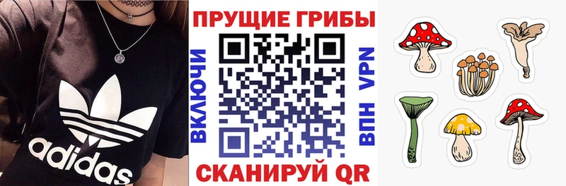 дарнет шоп  Балаково  Галлюциногенные грибы Cubensis 